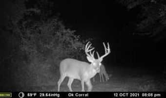 000 Hwy 105, Atkins, AR 72823
