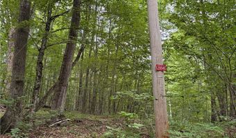 253 Davis Hollow Rd, Andes, NY 13731