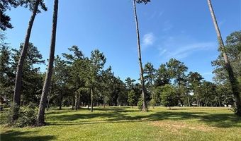 133 CHINAWOOD Dr Lot 459, Abita Springs, LA 70420