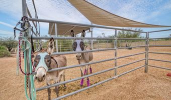 5526 E SKINNER Dr, Cave Creek, AZ 85331