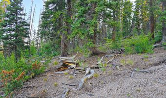 Ponderosa Dr, Beaver, UT 84713