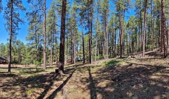 79 Spruce Way, Bayfield, CO 81122