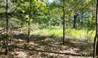 7 N Hall Rd, Antlers, OK 74523