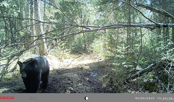 TBD Net River, Amasa, MI 49903