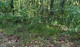 1089 Damascus, Ball Ground, GA 30107