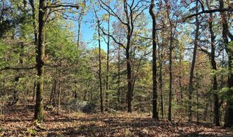 TBD Raw Land, Bates, AR 74953