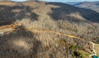 700 Acres Puncheon Creek Ln, Allred, TN 38542