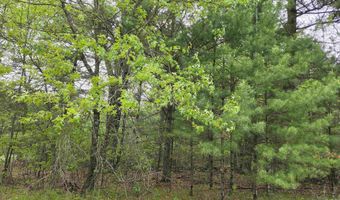 S Badger Lane lot 38, Arkdale, WI 54613