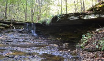 000 Hwy 14, Ava, MO 65608