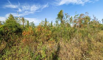 Parcel 1 Brent Knight Rd, Collins, MS 39479
