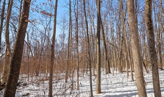 27 Mile Rd, Albion, MI 49224