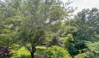 3814 N RICHMOND St, Arlington, VA 22207