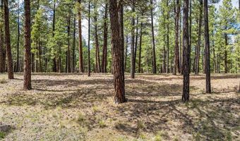 841 Beaver Creek Dr, Bayfield, CO 81122