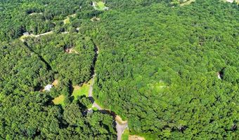 173 Hogan Pond Ln, Ball Ground, GA 30107