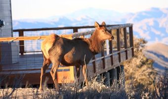 Sir Turner Drive APN # 095-01-711-034, Cold Creek, NV 89124