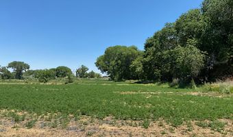 900 Calkin / Rice Rd, Fallon, NV 89406