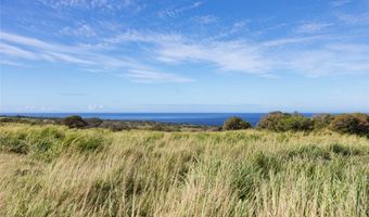 Lot # 9 Lahuiki Place, Hawi, HI 96719