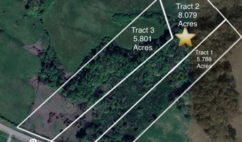 Tract 2 Hwy 51S, Homer, GA 30547