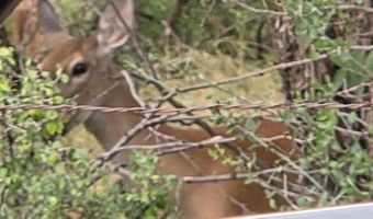 6525 E 180, Anson, TX 75901