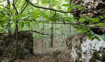 Whiskey Creek Lane, Batesville, AR 72501