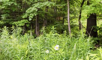 38 Cross Rd, Bath, NH 03740