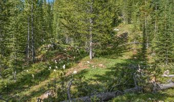 383 Red Lion Rd, Anaconda, MT 59711