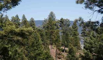 Lot 91ab Pam Coleman Drive, Angel Fire, NM 87710