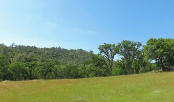 3528 Appaloosa Way, Angels Camp, CA 95222