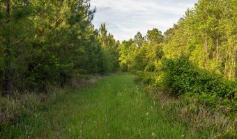 0 Flowers Rd, Bay Minette, AL 36507