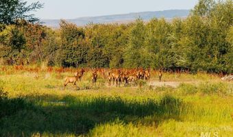 3127 Us Hwy 95, Cambridge, ID 83610
