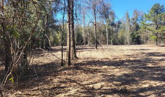 NW Tommy Tucker Road lot 1, Altha, FL 32421
