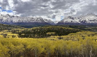 B005 Packsaddle Road, Chickaloon, AK 99674