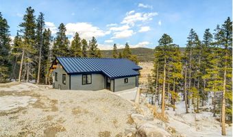 148 N Aspen St, Alma, CO 80420