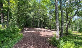 0 Woodland Hills Rd, Andes, NY 13731