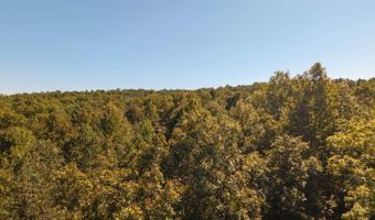 County Road 204, Alton, MO 65606