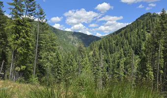 480 Dunn Peak Rd, Avery, ID 83802