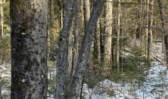 R6L9 Dickey Mills Road, Avon, ME 04966