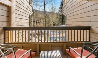 610 S West End St G204, Aspen, CO 81611