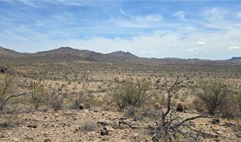 10 Acres 121-02-020, Yucca, AZ 86438