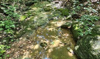 65 Acres Plainview Rd, Anderson, MO 64831