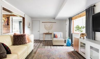 133 Gold Run Rd, Alma, CO 80440