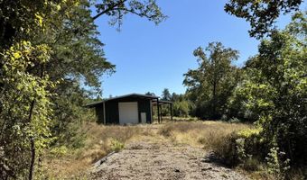 1011 Granny Hollar Rd, Atkins, AR 72823