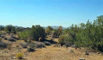 6962 E Black Kettle Dr, Yucca, AZ 86438