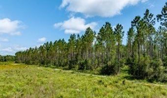 542 Lilla B Gaskins Rd, Alapaha, GA 31622