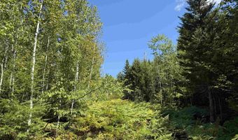 F2 Cave Mountain Road, Bartlett, NH 03812