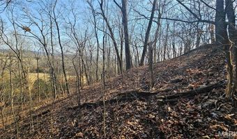 205 Hemsath Rd, Augusta, MO 63332