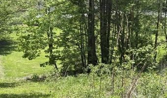 Gold Coast Road, Bridgewater, VT 05034