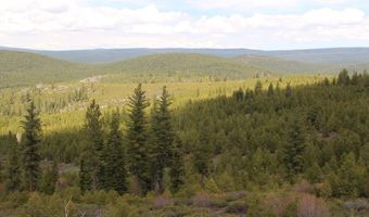 Tower Springs, Bly, OR 97622