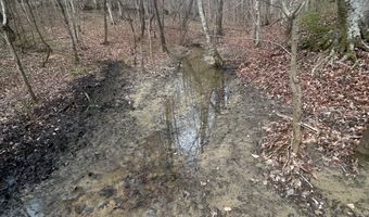 County Road 29, Alberta, AL 36720