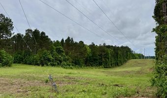 0010 Mount Carmel Rd, Bailey, MS 39320